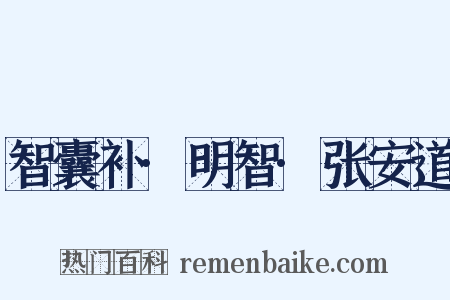 智囊补·明智·张安道是什么意思的图片